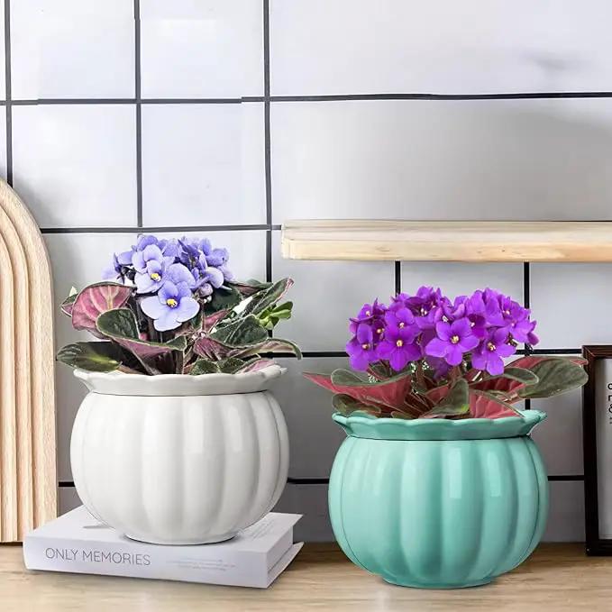 African Violet Pots, 6 inch Pumpkin-Style Ceramic Easy Self Watering Plant Pot for Busy Plant Lovers, Automatically Absorb Appropriate Amount of Water, Flower Pot Indoor-Plants Not Included by GreenHaven Gardens