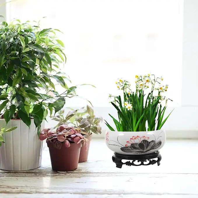 Ceramics Water Lily Bowl with Stand Chinese Style Hydroponic Planter Pot Round Narcissus Flowerpot Bonsai Daffodil Planting Container Garden Decoration 7 Inch by GreenHaven Gardens
