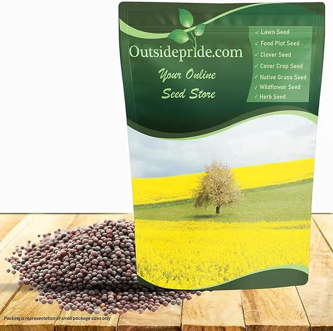 Outsidepride White Mustard Seeds for Planting - 50 lb Annual Cover Crop Seeds w/Deep Root System, High Protein Forage, Ideal for Soil Fertility, Crop Rotations, & Livestock Nutrition by GreenHaven Gardens