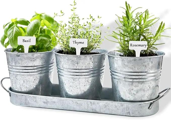 vensovo Indoor Herb Planter Set - Galvanized Windowsill Garden Pots with Tray & Drainage, Set of 3 Metal Window Planters for Kitchen & Outdoor Use, Silver by GreenHaven Gardens