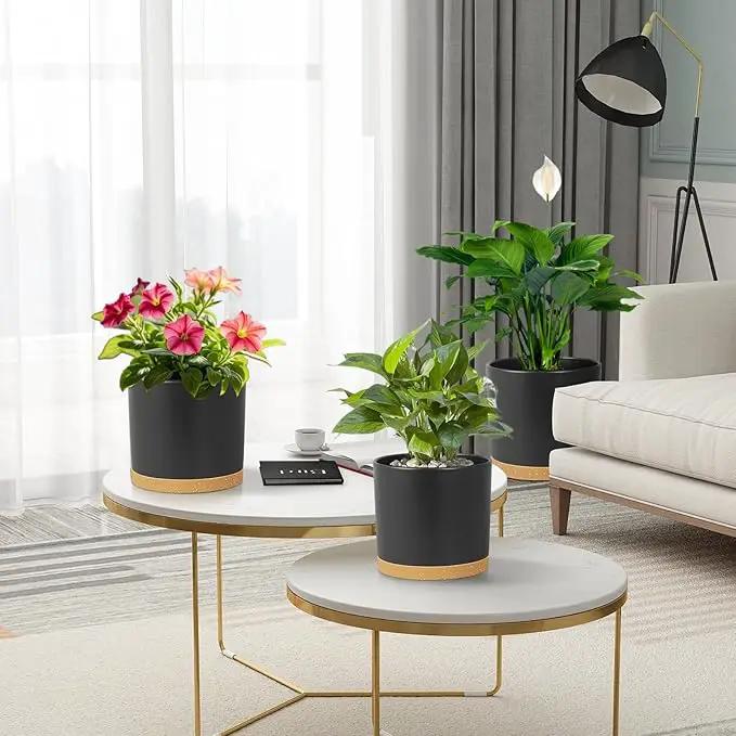 8/7/6 inch Flower Pots, 3 Pack Cylinder Plant Pots for Outdoor Indoor Plants, Decorative Plastic Planters with Drainage Holes and Saucers for Garden House Plants, Black with Brown by GreenHaven Gardens
