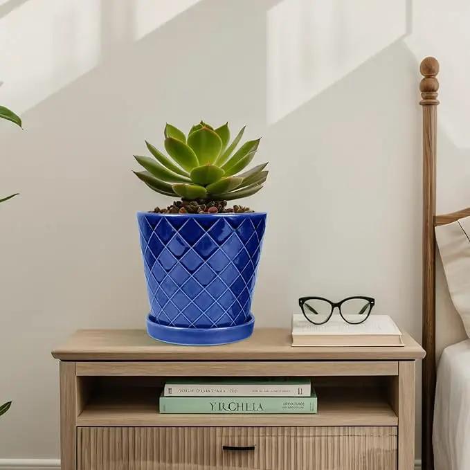 BUYMAX Plant Pots Indoor –6 inch Ceramic Flower Pot with Drainage Hole and Ceramic Tray - Gardening Home Desktop Office Windowsill Decoration Gift, Set of 2(Royal Blue) by GreenHaven Gardens