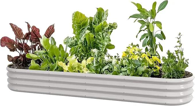 8x2x1ft Oval Galvanized Raised Garden Bed Outdoor 9-in-1 Large Metal Modular Planter Box Raised Beds for Gardening,Vegetables,Fruits,Flowers & Herbs (White) by GreenHaven Gardens