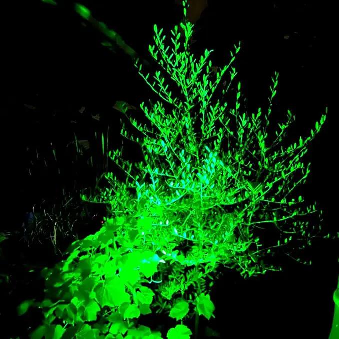 T-SUNUS Green Solar Landscape Lights Christmas 4 Pack, IP65 Waterproof Halloween Garden Pond Light, Auto-on/Off Security Spotlight for St. Patrick's Day Flag Tree Wall Patio Yard Driveway Pool Area by GreenHaven Gardens