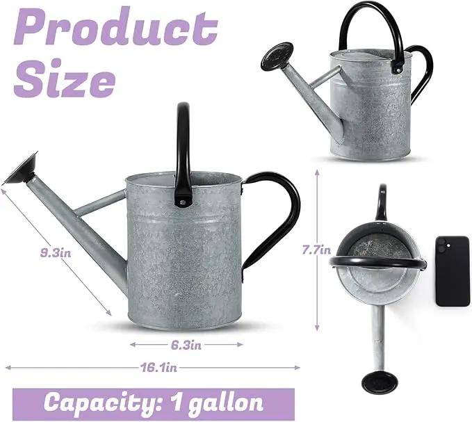 1 Gallon Watering Can for Plants, Watering Cans for Indoor&Outdoor Gardening, Galvanized Steel Watering Pot with Removable Spout, Metal Water Can with Ergonomic Movable Handle(Rustic Silver) by GreenHaven Gardens
