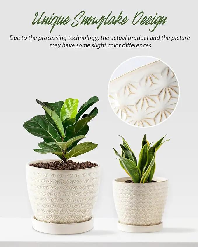 Plant Pots, Flower Pots, Planters for Indoor Plants(6.5+5.5inch), Flower Pots for Indoor Plants with Drainage Hole and Saucer, Ceramic Pots for Plants with Hole Mesh Pad,Reactive Glaze White by GreenHaven Gardens