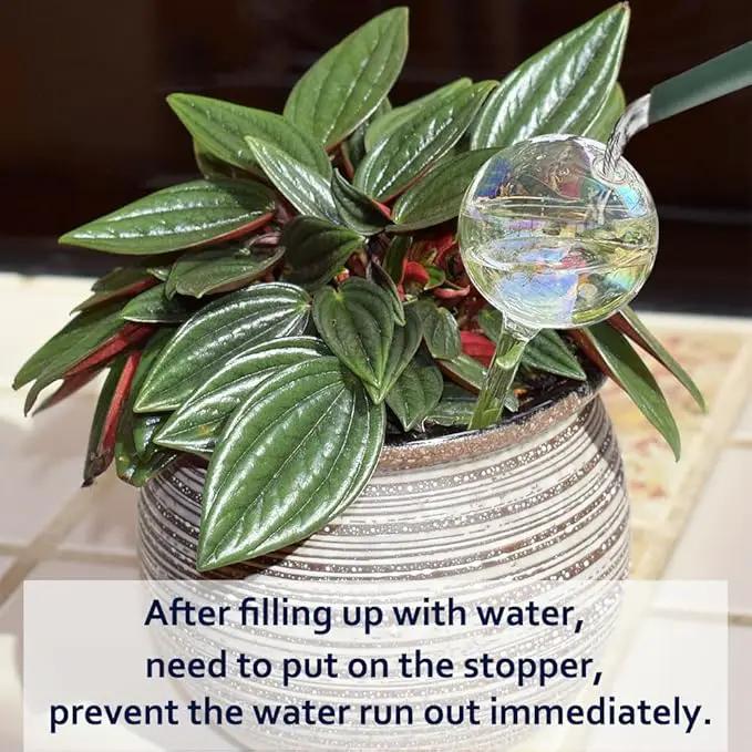Clear Rainbow Glass Plant Automatic Watering Bulb, 4pcs Garden Flower Self Watering Planter Inserts, Automatic Plant Waterer System Set Self Watering Spikes to Support Plant Health by GreenHaven Gardens