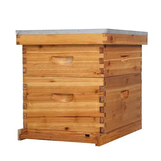 VINGLI 10 Frames Beehive, Complete Beehive Kit Includes 1 Deep Boxes, 1 Medium Box, Frames and Waxed Foundations, for Yard, Field, Bee Farm (2 Layer) by GreenHaven Gardens