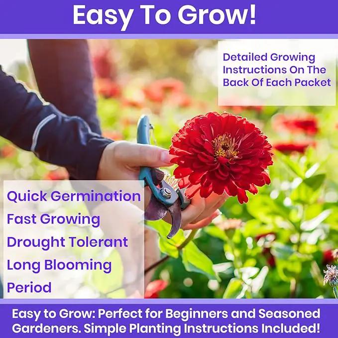 NatureZ Edge Zinnia Seeds for 2025 Planting Outdoors, Over 650 Flower Seeds, 5g, Non GMO Made in USA, Bulk Semillas De Flores para Sembrar, Variety Mix, Easy to Grow Zinnia Seed Mix by GreenHaven Gardens