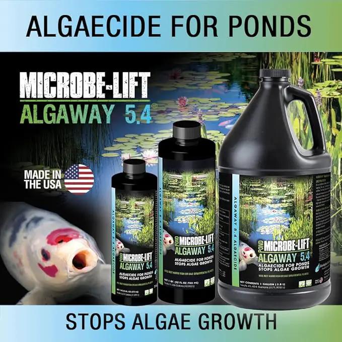 MICROBE-LIFT ALGA32 Algaway 5.4 Algae Control Treatment for Ponds and Water Gardens, Safe for Koi Fish, Goldfish, Plants, and Decorations, 32 Ounces by GreenHaven Gardens
