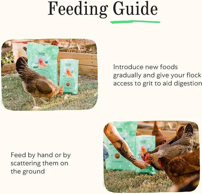 Grubblies - Black Soldier Fly Larvae for Chickens - Chicken Treats Grown in The US and Canada - for Strong Eggshells and Healthy Feathers - Grubblies Hometown Harvest 1LB by GreenHaven Gardens