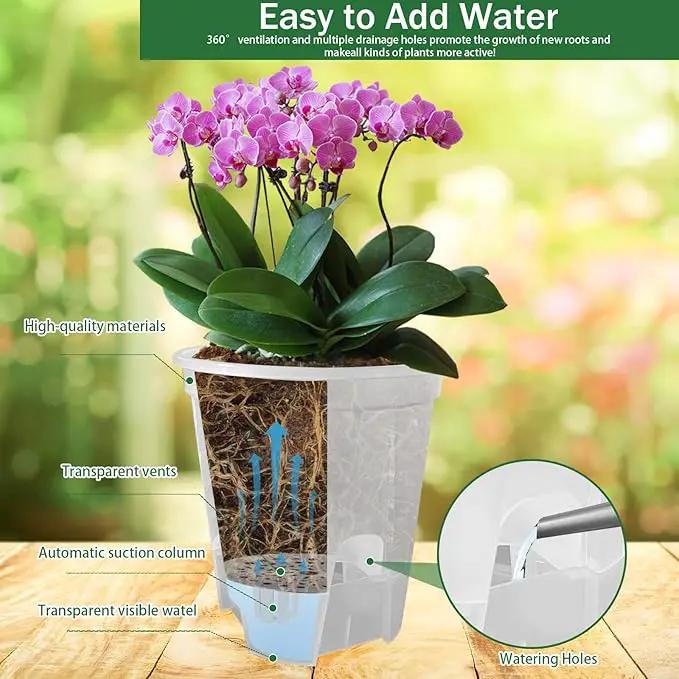 Cdd's Path 5-Pack 6 Inch Self Watering Pots Set with Holes for Indoor/Outdoor Plants,Planter Pot with Watering Hole/Reservior and Air Pipes,Clear by GreenHaven Gardens