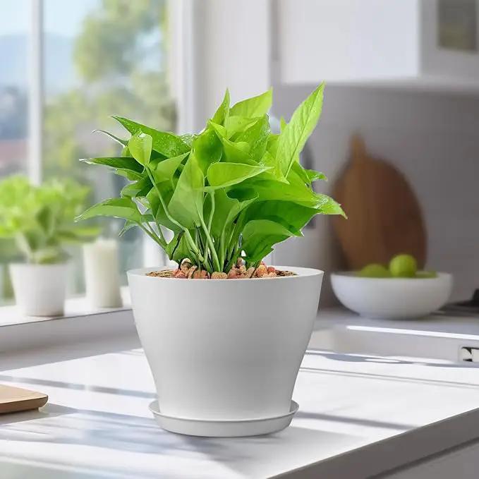 6 inch Plastic Nursery Pots, Seedling Pots, 16 Pack Plant Pots for Small Indoor Outdoor Plants, Flower Pots with Drainage Holes and Saucers, Decorative Planters for House Plants, White by GreenHaven Gardens