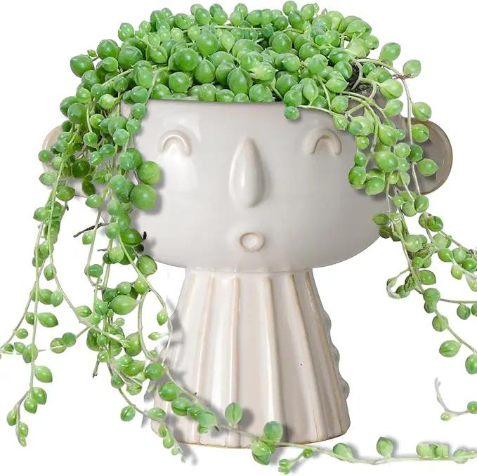 Face Planter Pot 7 Inch - Cute Ceramic Flower Head Planter for Indoor Outdoor Succulent Pot with Drainage Hole Flower Pot Present for Mother Christmas White by GreenHaven Gardens
