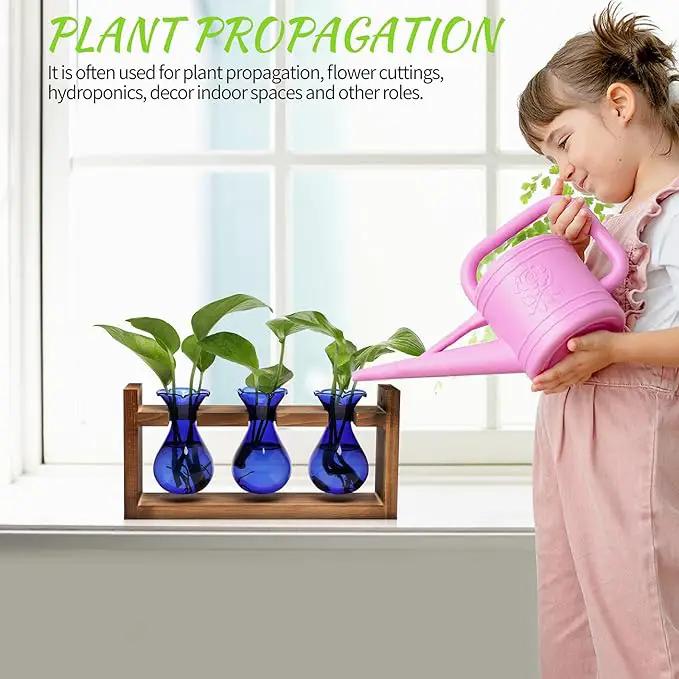 Plant Propagation Station Plant Terrarium Unique Birthday Gifts for Women Plant Lovers Home Office Decor Planter with Wooden Stand - 3 Bulb Glass Vase by GreenHaven Gardens