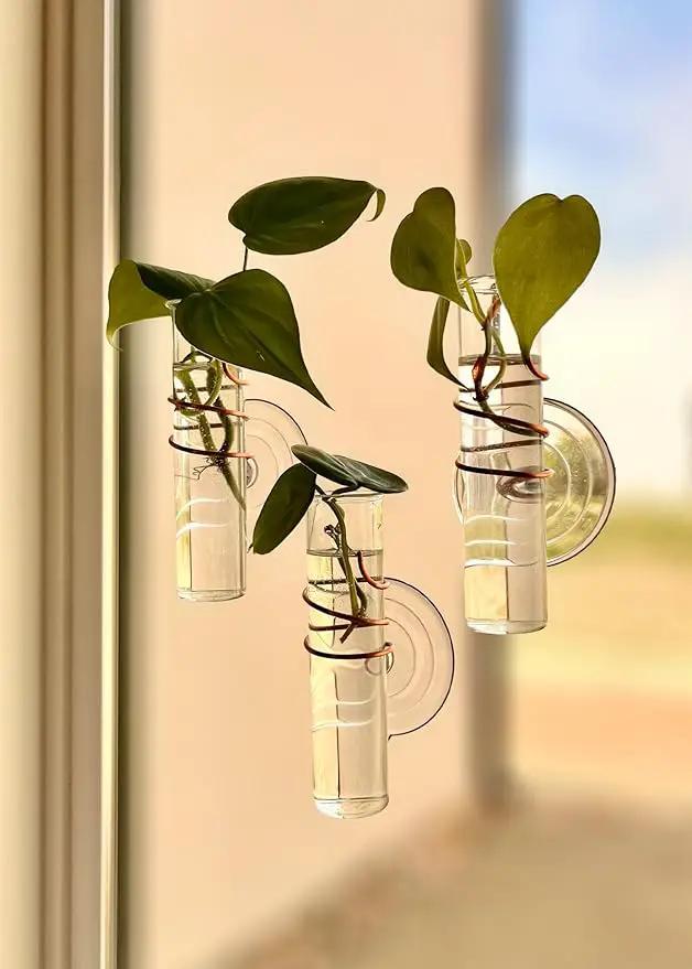 The Little Window Propagator | Window Propagation Station with Removable Glass Tubes, Indoor Plant Clippings, Cut Flowers, Herbs, Succulents | Home Decor | Plant Lover Gift (3)