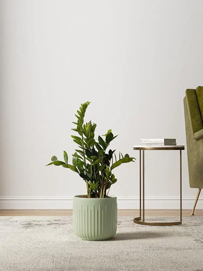 LE TAUCI Ceramic Planters, 8.3+6.9+5.7 Inch Plant Pots for Indoor Plants, Set of 3 Flower Pot with Drainage Holes, Large Round Planters Pot for Indoor House Plants, Reactive Glaze Sage Green by GreenHaven Gardens