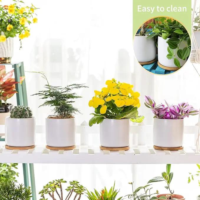 4 Inch Ceramic Plant Pots with Drainage Holes and Trays, Adorable Small Cylinder Flower Planter Pot with Saucers for Indoor Plants, Succulent, Snake Plants, Cactus & Herbs, White, Set of 4 by GreenHaven Gardens
