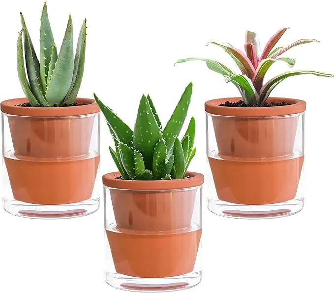 D'vine Dev 4 Inch Design Self Watering Pot for Indoor Plants, Terracotta Planter with Cylinder Glass Cup, Set of 3, 37-X-A-3 by GreenHaven Gardens