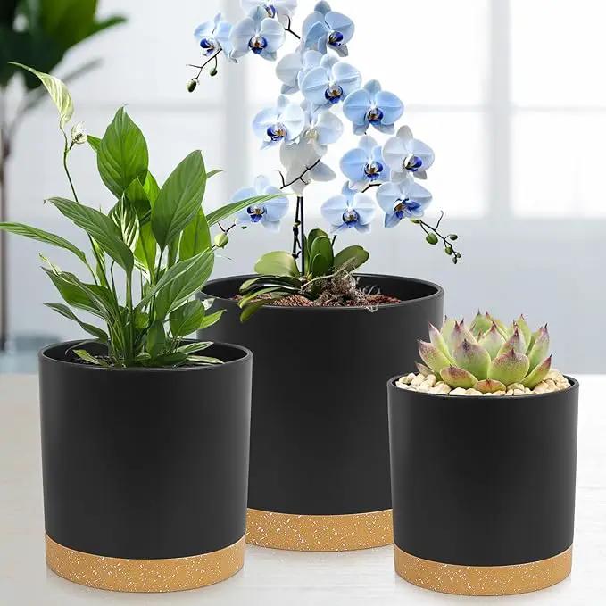 3 Pack 6/5/4 inch Cylindrical Flower Pots, Modern Small Round Plastic Plant Pots with Drainage Holes & Saucers, Clean and Refined Planter Pots for Outdoor, Indoor & Office Decor (Black Brown) by GreenHaven Gardens