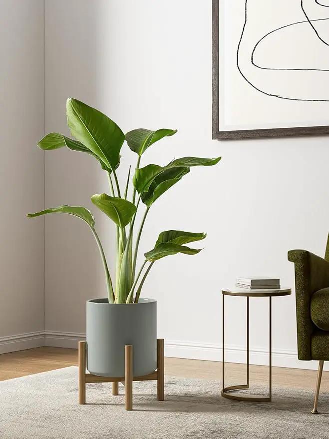LE TAUCI Ceramic Plant Pots Indoor, 10+8+6 Inch Planters for Indoor Plants, Mid-Century Modern Flower Pots with Drainage Hole and Plug, Cylinder Round Planters, Set of 3, Blue Gray by GreenHaven Gardens