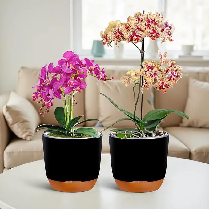 QCQHDU 2 Pack Orchid Pots with Holes for Repotting, Double-Layer and Self Watering Orchid Pot with Good Air Circulation by GreenHaven Gardens