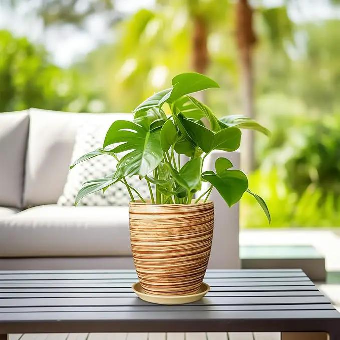 8 Inch Plant Pot, Ceramic Planter with Drainage Hole and Saucer Large Flower Pot for Home Patio Garden Office, Yellow by GreenHaven Gardens