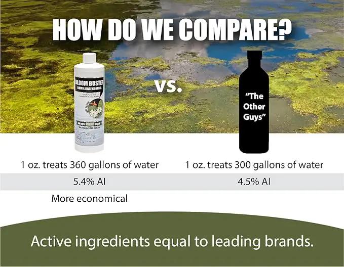 Bloom Buster Pond Algae Control - 16oz - Fast Acting Algaecide, Use in Fountains & Outdoor Ponds Containing Koi & Other Fish - EPA Registered by GreenHaven Gardens