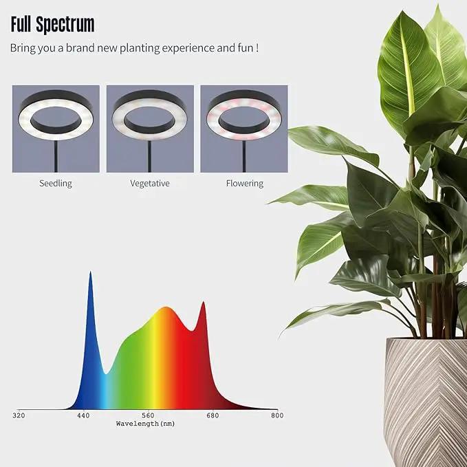 GLOWRIUM Indoor Grow Light, 20 Watt Full Spectrum LED Plant Growth Light with Stand, Adjustable Height with Timer 3/9/12 hrs, Black LED Plant Lamp by GreenHaven Gardens