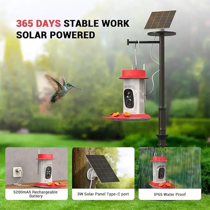 Hummingbird Feeder with Camera, AI Smart Identification Cloud Storage Function, Featuring Ant Moat Protection, Solar Power, Instant Notification, Automatic Bird Video Capture, and Motion Detection by GreenHaven Gardens