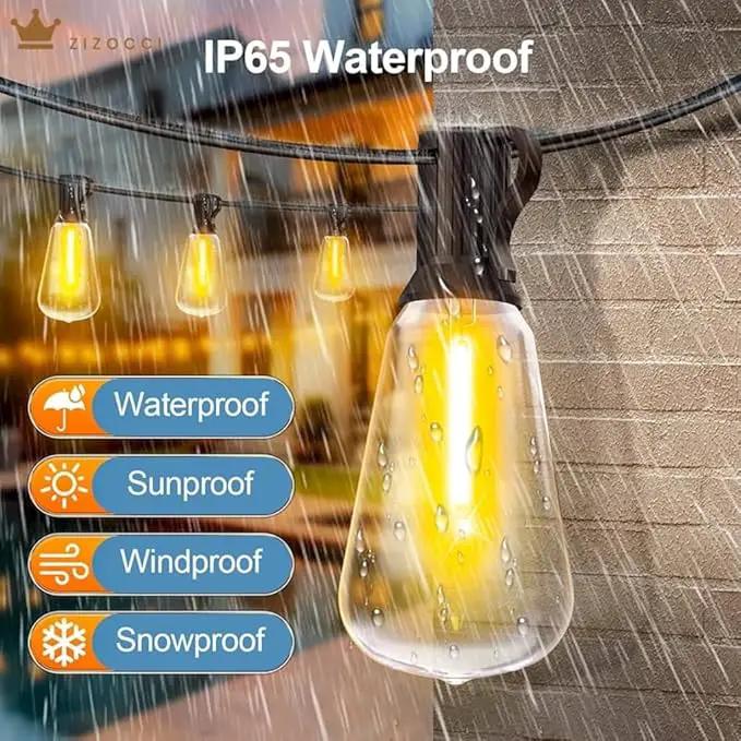String Lights for Outside 100Ft 30M - Patio Lights Outdoor Lighting Waterproof Lights, Remote Dimmable ST38 Shatterproof Wedding Decorations, Birthday, Chrismas, Haloween, Balcony, Garden Party by GreenHaven Gardens