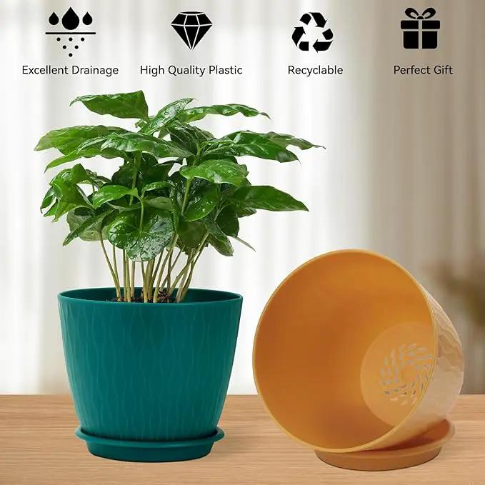 Plant Pots – 6 Inch Planters with Drainage Holes and Saucers, Flower Pots for Indoor and Outdoor Plants, Nursery Planting Pots (Pack of 5, Multicolor) by GreenHaven Gardens