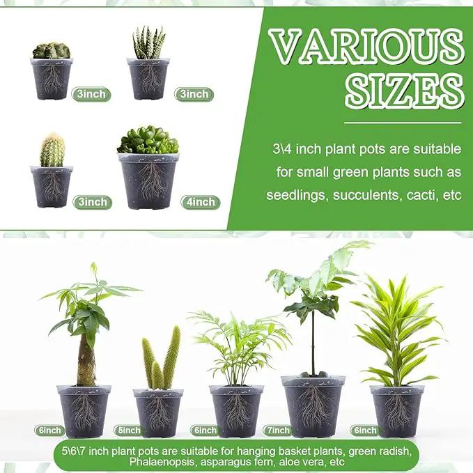 Vesici Large Size Clear Nursery Pots Variety Pack Plant Pots with Drainage Holes Planters for Indoor Plants Flexible Transparent Plastic Plant Bottle Succulents(32 Pcs,3/4/5/6/7 Inch) by GreenHaven Gardens