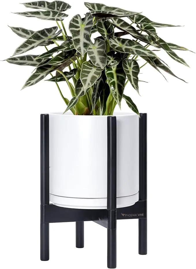 D'vine Dev Ceramic Planter with Ebony Stand - 10 Inch Modern Round Flower Pot with Wood Planter Holder, White, 55-B-L-1 by GreenHaven Gardens