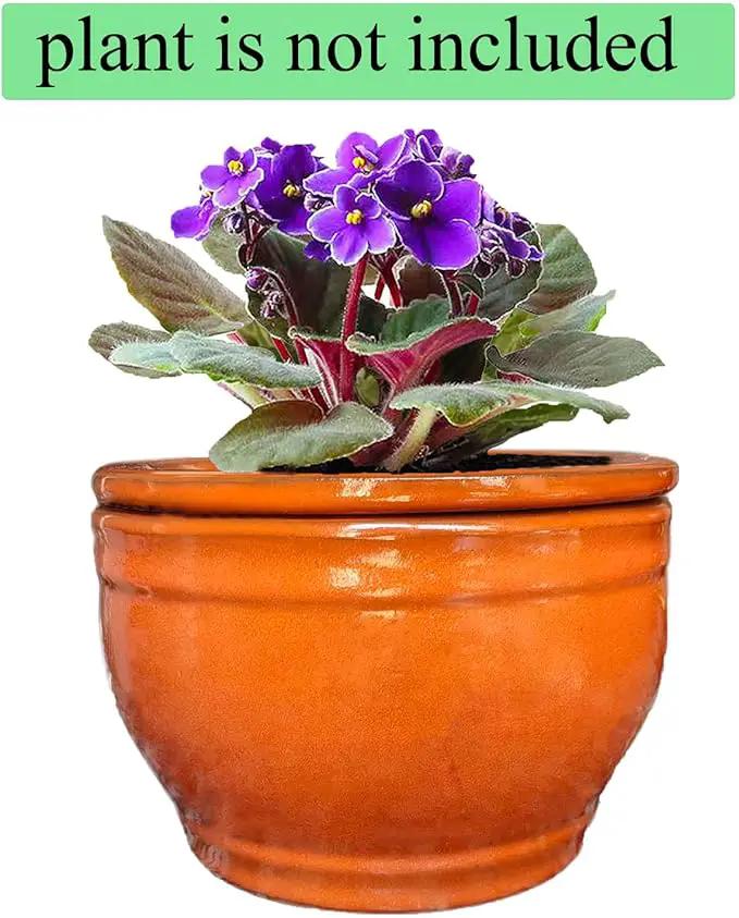 African Violet Pots Self Watering Round Ceramic Violet Pot (Orange, 6 inch) by GreenHaven Gardens