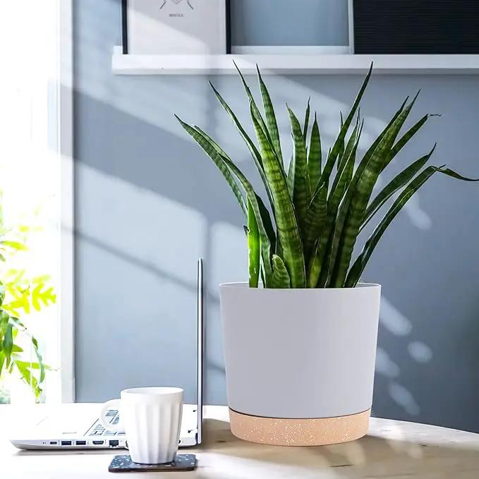 QCQHDU 6.5 inch Plant Pot, 2 Pack Planters for Indoor Plants with Drainage Holes & Saucer, Outdoor Flower Pots Home Garden Modern Decor by GreenHaven Gardens