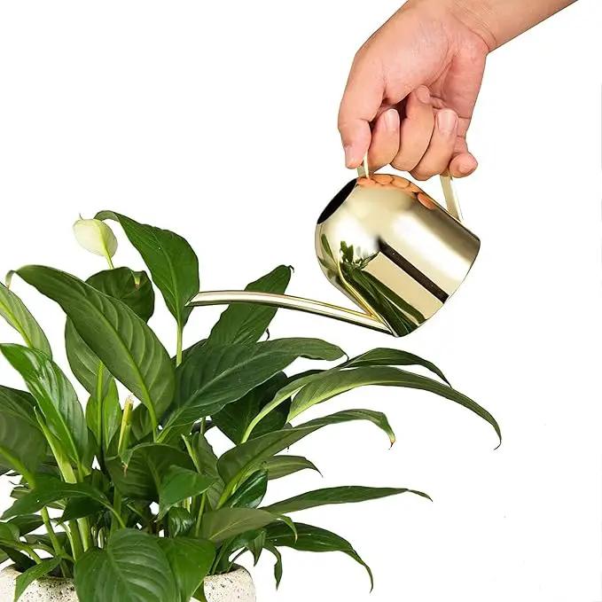 IMEEA Gold Watering Can for Indoor Plants, Orchid, Bonsai - Stainless Steel With Long Spout for House, Desk, Office - 15oz/450ml by GreenHaven Gardens