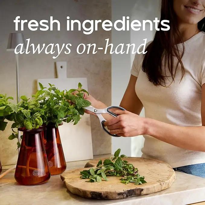 Counterstand Set – Vase Plant for Indoor Edible Garden Kit for Herbs & Lettuce – Small-Space Hydroponic System – Home Decor & Gifting – Without Live Plants by GreenHaven Gardens