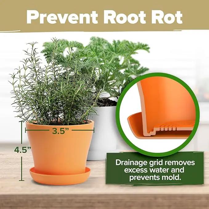 HOME GROWN 𝗣𝗥𝗘𝗠𝗜𝗨𝗠 𝗛𝗘𝗥𝗕 𝗞𝗜𝗧 8 Herb Seeds Garden Kit, Complete Indoor Planter Gift with Basil Cilantro Mint & More, Unique Kitchen Growing Set for Women Men, Birthday Housewarming Present by GreenHaven Gardens