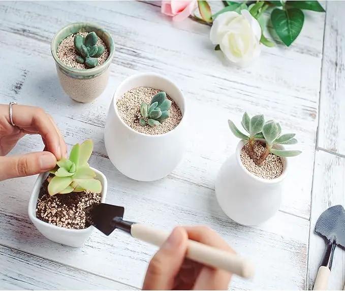 Andiker Mini Gardening Tools, 3pcs Portable Garden Hand Tools Set, Miniature Gardening Rake Trowel and Shovel for Seedlings, Bonsai, Succulents, Herbs, Terrariums and Planting (3pcs) by GreenHaven Gardens