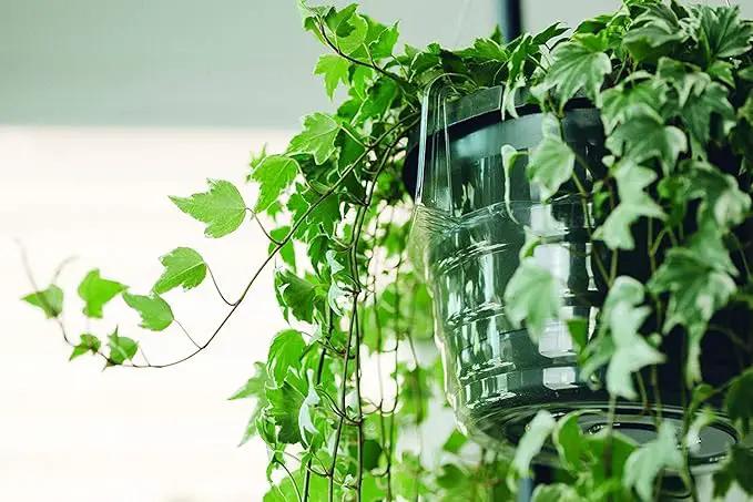 Curtis Wagner Plastics Hanging Basket Drip Pans (5-Pack) | Clear, Round (Diameter = 7.37" Base, 10" Top, 3.7" Depth) Hanging Plant Tray Saucer with Built-in Hooks & Water Catcher for Indoor & Outdoor by GreenHaven Gardens