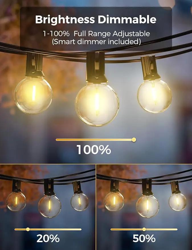 XMCOSY+ Smart Outdoor String Lights, 150Ft G40 Globe Patio Lights with 75 LED Bulbs, WiFi & APP Control, Work with Alexa, Extendable Waterproof Dimmable LED String Lights for Outside, Porch, Cafe by GreenHaven Gardens