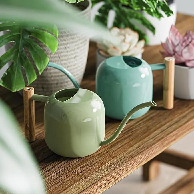 Green Moon Watering Can Indoor Plants 1.2L/41oz Sage Green Water Can Indoor Metal Small Water Can Pot with Long Spout for House Bonsai Plants Garden Flower Decorative by GreenHaven Gardens