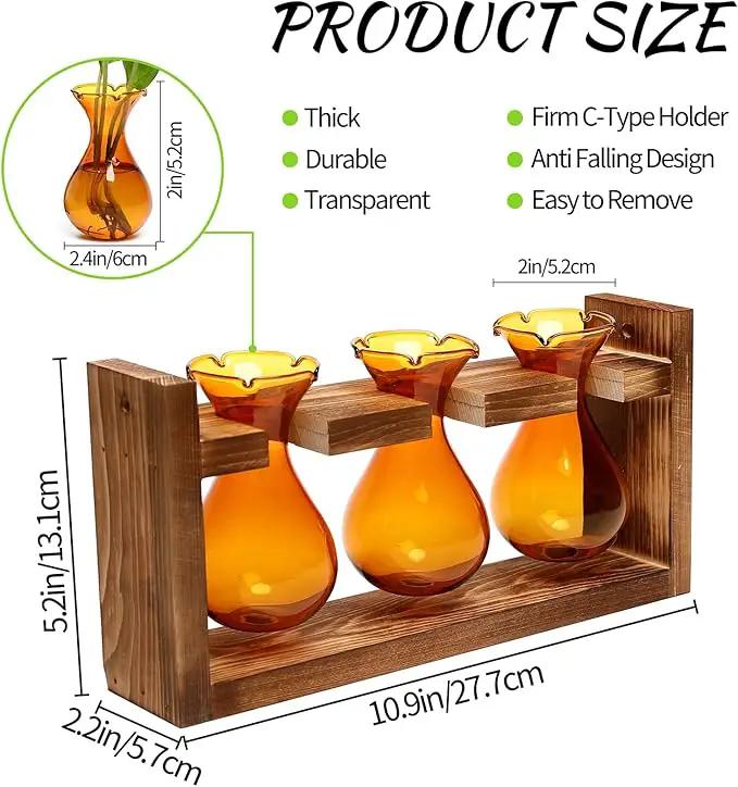 Plant Propagation Station Plant Terrarium Unique Birthday Gifts for Women Plant Lovers Home Office Decor Planter with Wooden Stand - 3 Bulb Glass Vase by GreenHaven Gardens