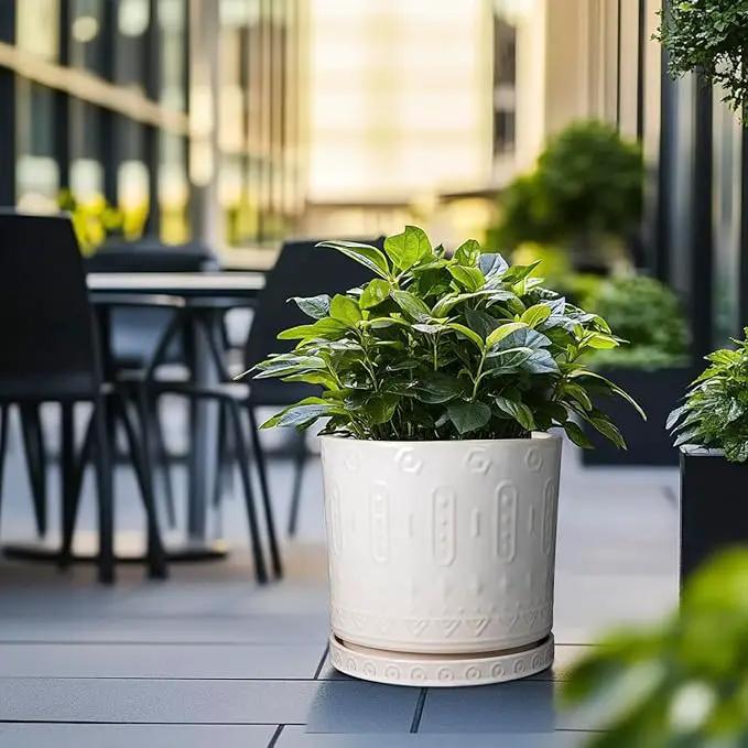 Ceramic Pots for Plants 12 Inch - Large Ceramic Planters for Indoor Plants Outdoor Modern Flower Pot with Drainage Holes and Saucer for Office Garden Patio White by GreenHaven Gardens