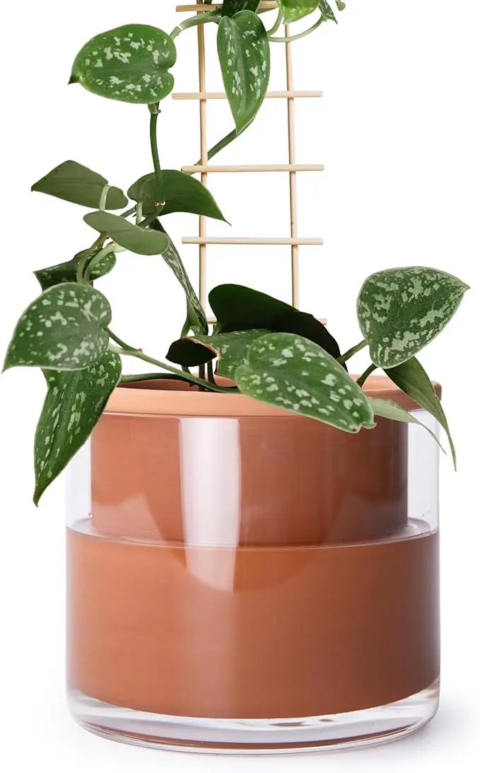 Phoenix Vine 6 Inch Self Watering Plants Pot, Design Terracotta Pot for Plants, Indoor Cylinder Terra Cotta Planter with Glass Vase, Set of 1, 51-A-F-1 by GreenHaven Gardens