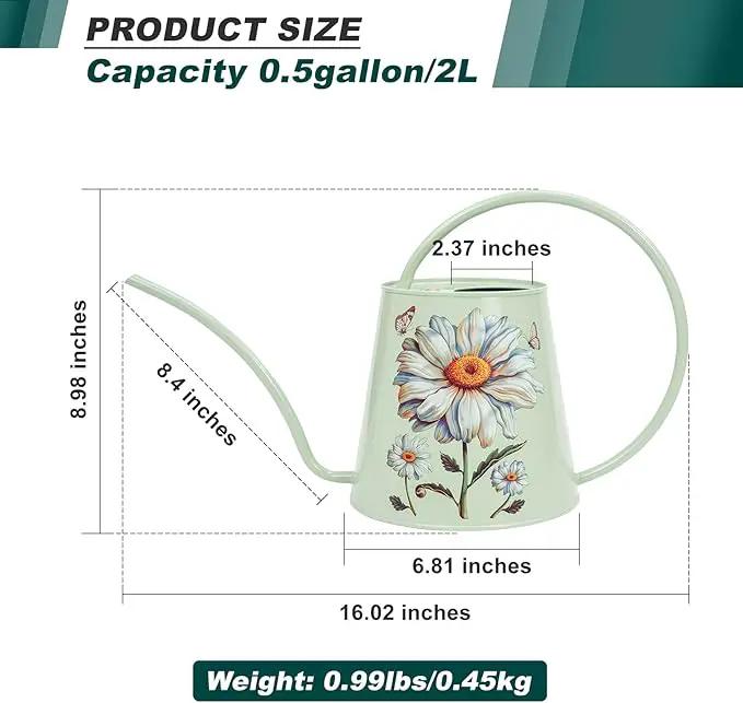Berry&Bird House Plants Watering Can - Indoor&Outdoor 1/2 Gallon Stainless Steel Water Can with Long Spout Garden Decoration for Flower Bonsai Succulent Gardening Large Water Bottle (Bellis Perennis) by GreenHaven Gardens