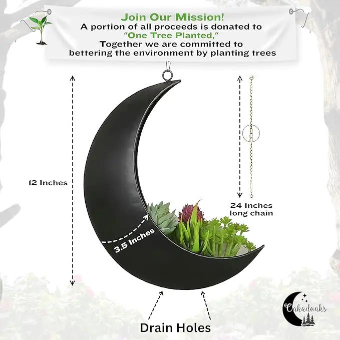 Black Hanging Moon Planter with Drain Holes - Moon Room Decor - Unique Planters for Succulents,Air Plant, Cactus, Artificial Plants- Plant Lover Gifts - Boho,Hippie, Birthdays,Witchy Gifts for Women by GreenHaven Gardens