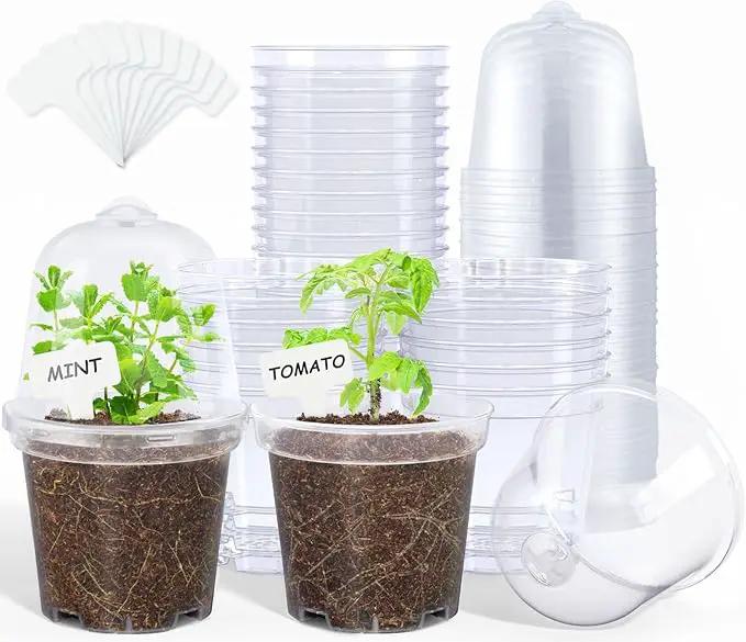 homenote Clear Nursery Pots for Plants,4 Inch Plant Pot for Planting with Humidity Domes Plastic Seedling with Drainage Holes Seed Starter Flower High Transparency (30 Pack) by GreenHaven Gardens