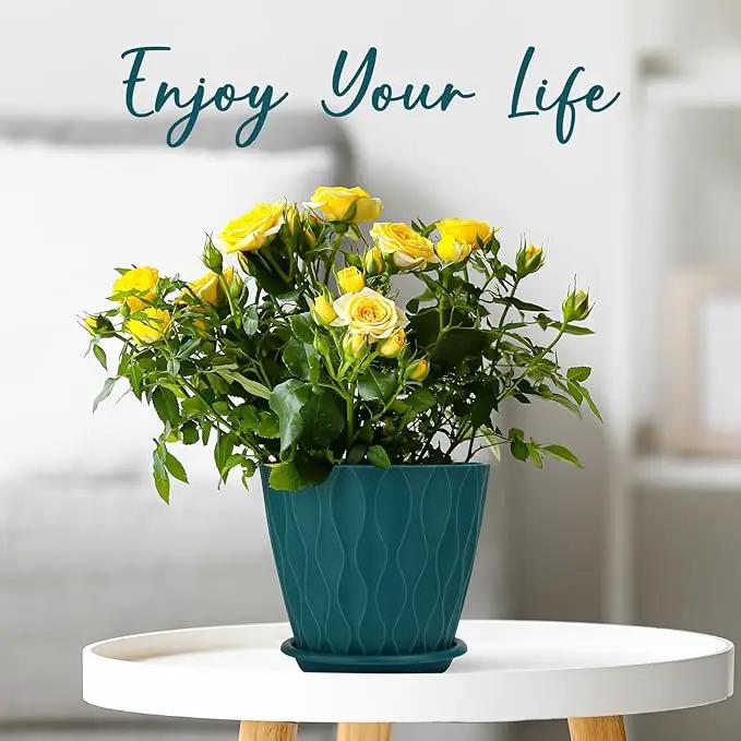 6 inch Plant Pots, 5 Pack Flower Pots Outdoor Indoor, Planters with Drainage Hole and Tray Saucer(Blue by GreenHaven Gardens